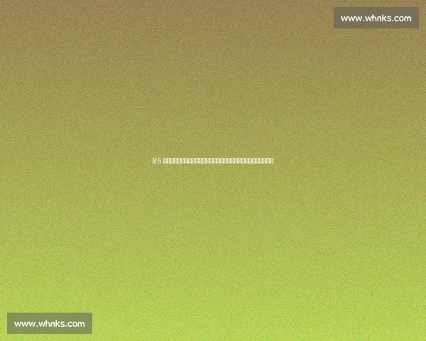 央 5 直播中国女篮海口迎战澳大利亚：张子宇内线强攻，宫鲁鸣战术大考！